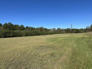 Property photo for land for sale in Cherokee County Texas