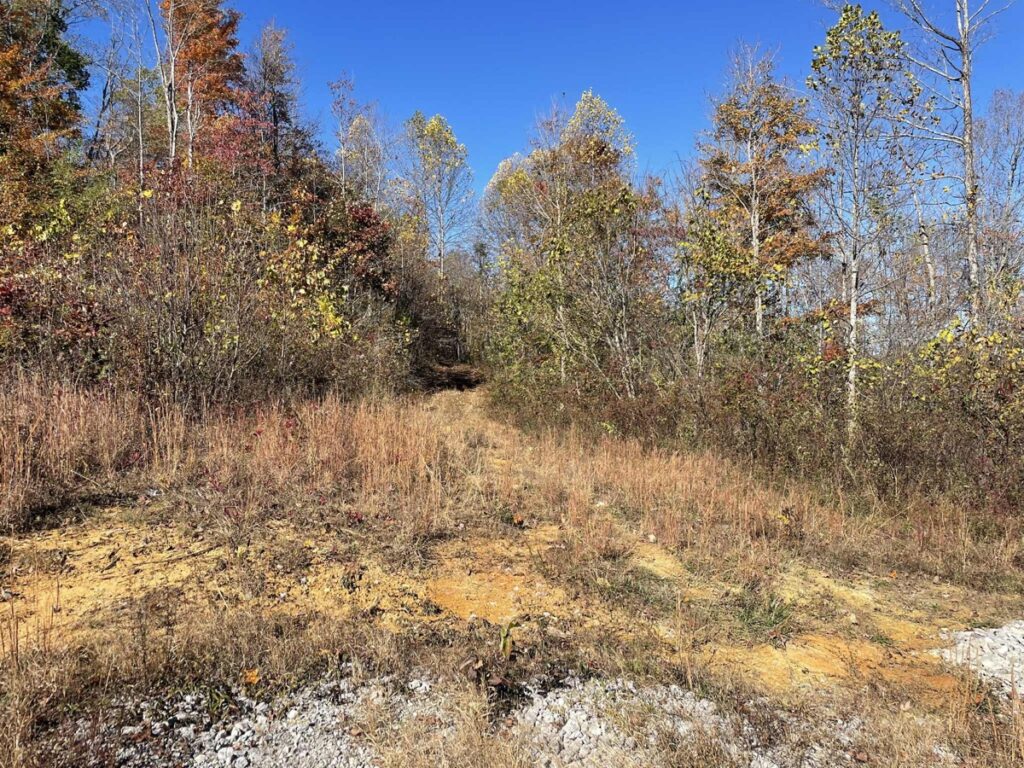 Property photo for land for sale in Clinton County Kentucky