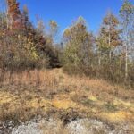 Property photo for land for sale in Clinton County Kentucky