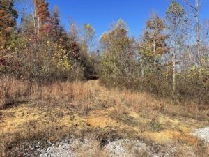 Property photo for land for sale in Clinton County Kentucky