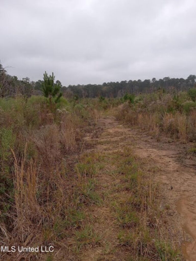 Property photo for land for sale in Amite County Mississippi