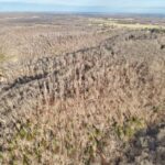 Property photo for land for sale in Pulaski County Missouri
