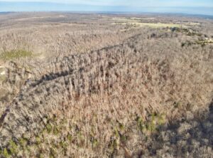 Property photo for land for sale in Pulaski County Missouri