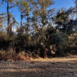 Property photo for land for sale in Hamilton County Florida