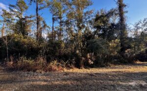 Property photo for land for sale in Hamilton County Florida