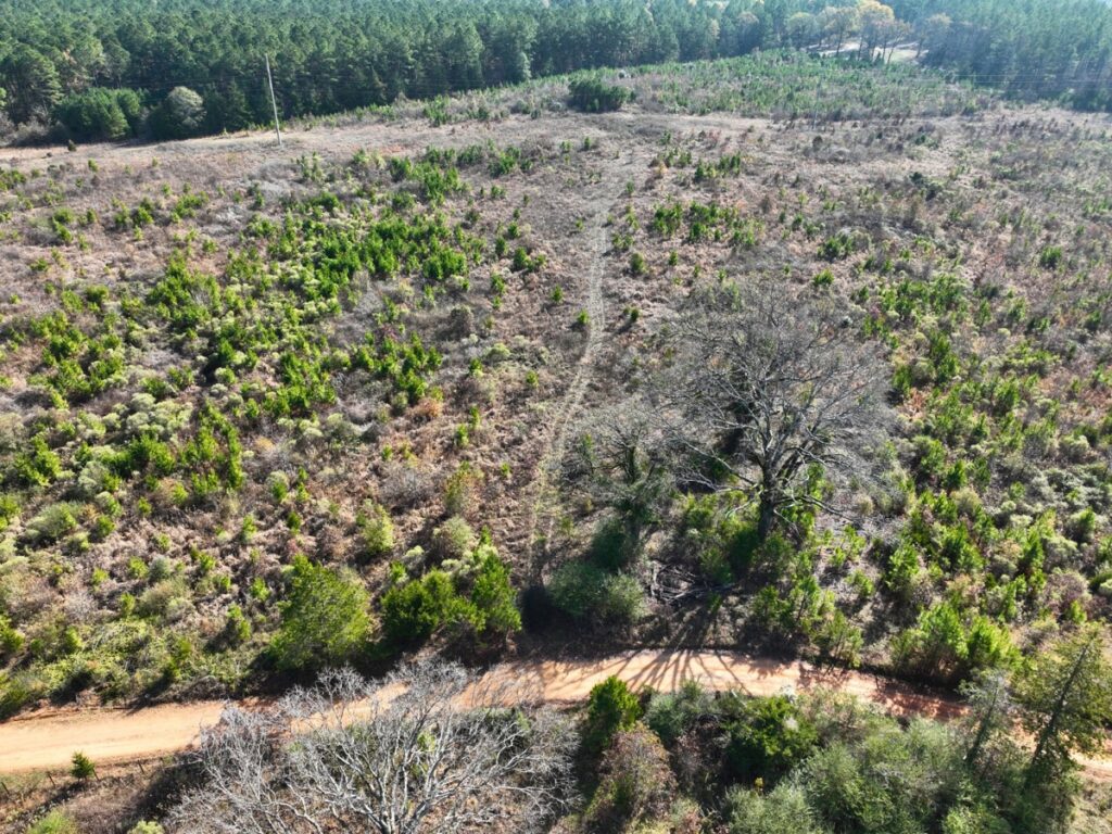 Property photo for land for sale in Cass County Texas