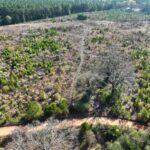 Property photo for land for sale in Cass County Texas