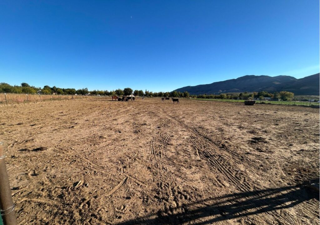 Property photo for land for sale in Dona Ana County New Mexico