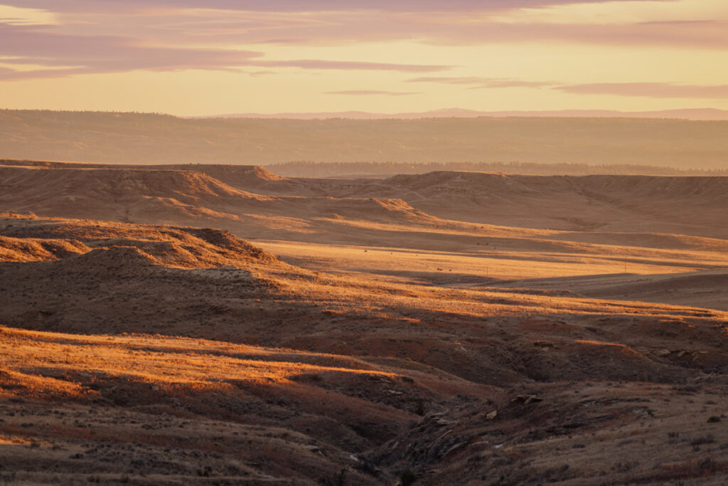 Property photo for land for sale in Yellowstone County Montana