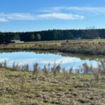 Property photo for land for sale in Jones County Mississippi