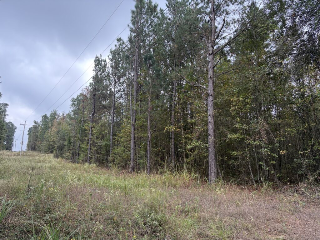 Property photo for land for sale in Miller County Arkansas