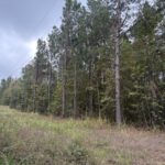 Property photo for land for sale in Miller County Arkansas
