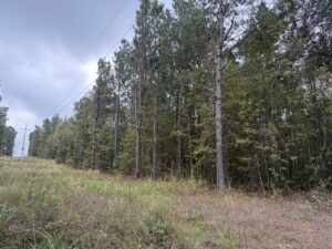 Property photo for land for sale in Miller County Arkansas