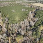 Property photo for land for sale in Nevada County Arkansas
