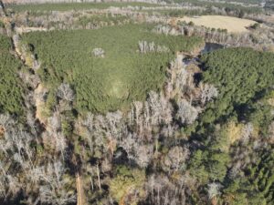 Property photo for land for sale in Nevada County Arkansas