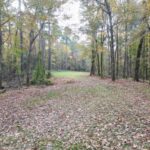 Property photo for land for sale in Franklin County Mississippi