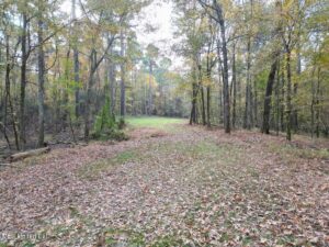 Property photo for land for sale in Franklin County Mississippi