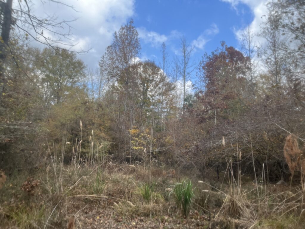 Property photo for land for sale in Union County Arkansas