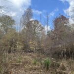 Property photo for land for sale in Union County Arkansas