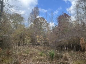 Property photo for land for sale in Union County Arkansas