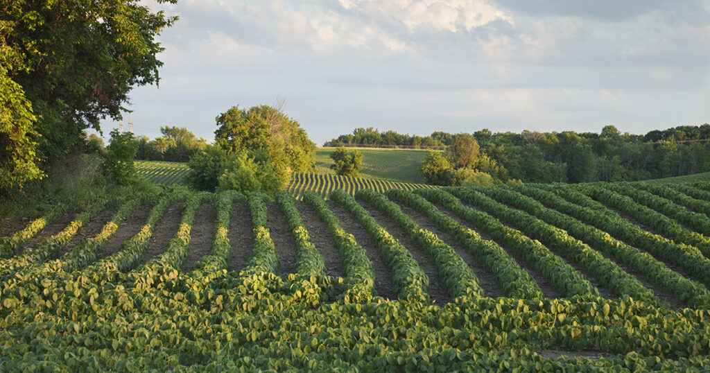 $12 billion farmer bailout package