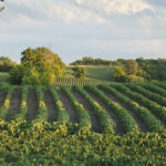 $12 billion farmer bailout package