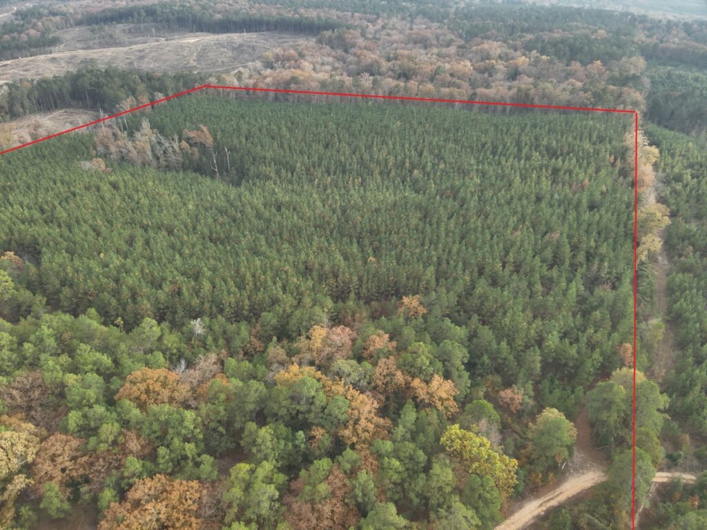 Property photo for land for sale in Ouachita County Arkansas