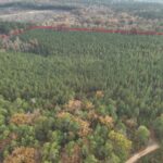 Property photo for land for sale in Ouachita County Arkansas