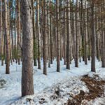 Property photo for land for sale in Marquette County Wisconsin