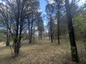 Property photo for land for sale in Dallas County Alabama