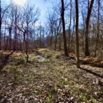 Property photo for land for sale in Warrick County Indiana