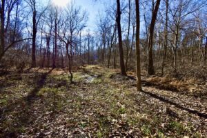 Property photo for land for sale in Warrick County Indiana