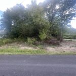 Property photo for land for sale in Nelson County Kentucky