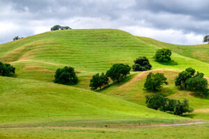 Property photo for land for sale in Solano County California