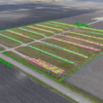 Property photo for land for sale in Nueces County Texas