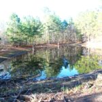 Property photo for land for sale in Wood County Texas