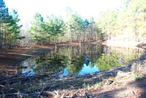 Property photo for land for sale in Wood County Texas