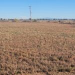 Property photo for land for sale in Torrance County New Mexico