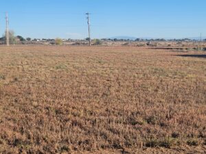 Property photo for land for sale in Torrance County New Mexico