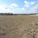 Property photo for land for sale in Scott County Arkansas