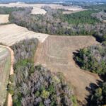 Property photo for land for sale in Macon County Alabama