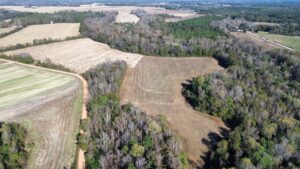 Property photo for land for sale in Macon County Alabama