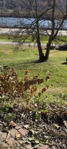 Property photo for land for sale in Monroe County Ohio