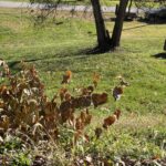 Property photo for land for sale in Monroe County Ohio