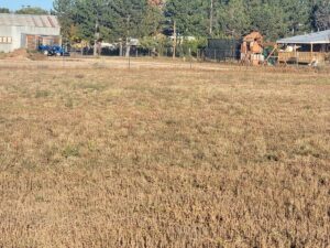 Property photo for land for sale in Torrance County New Mexico