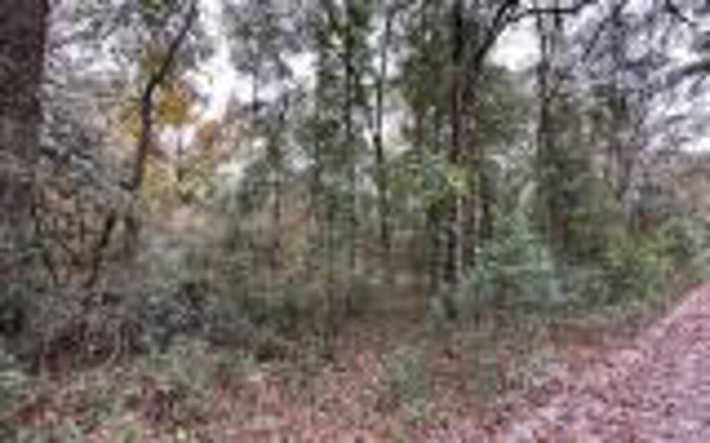 Property photo for land for sale in Suwannee County Florida