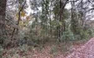 Property photo for land for sale in Suwannee County Florida