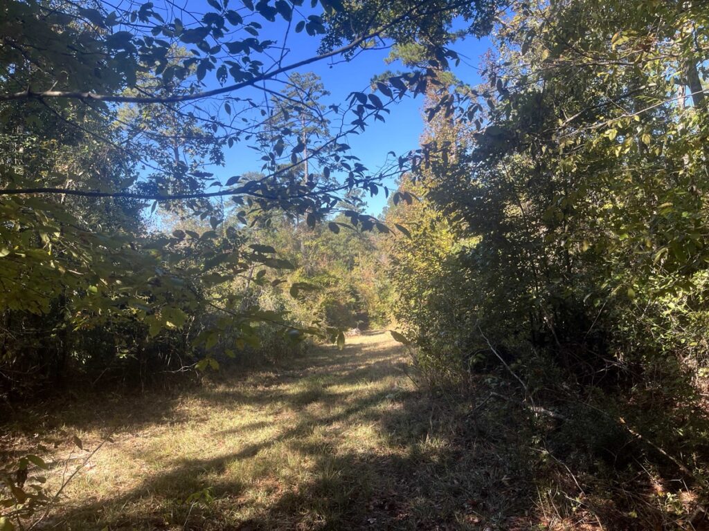 Property photo for land for sale in Union County Arkansas