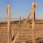 Property photo for land for sale in Reagan County Texas