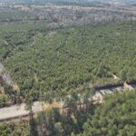 Property photo for land for sale in Nevada County Arkansas